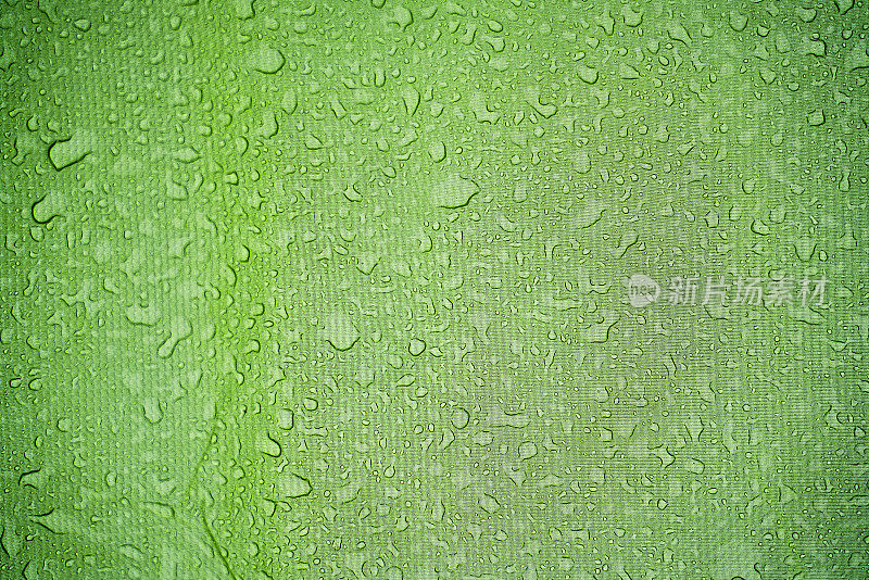 Green wet background wallpaper